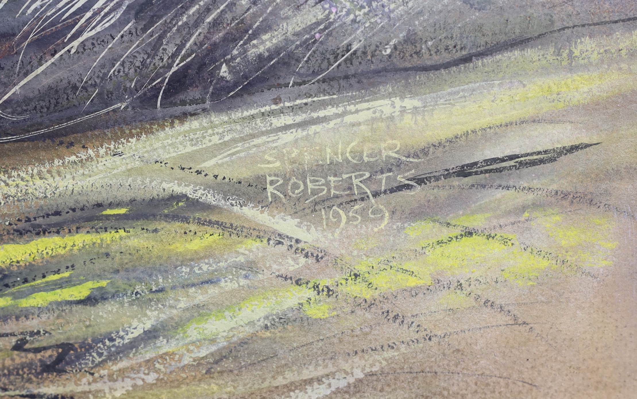 Spencer Roberts (1920-1997), oil on board, Study of a seagull, signed and dated 1959, 34 x 74cm